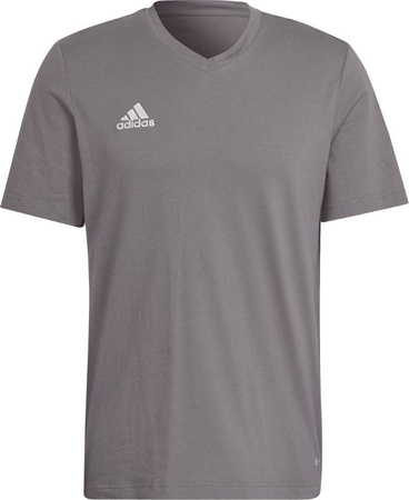 Koszulka męska adidas Entrada 22 Tee szara HC0449