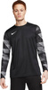 Bluza bramkarska męska Nike Dry Park IV JSY LS GK czarna CJ6066 010