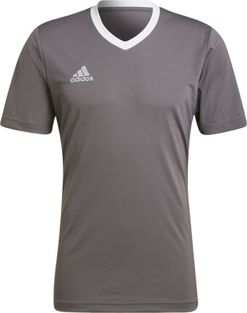 Koszulka męska adidas Entrada 22 Jersey szara