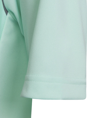 Koszulka dla dzieci adidas Entrada 22 Graphic Jersey miętowo-szara HF0127