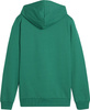 Bluza dla dzieci Puma Team Goal Casuals Hoddy zielona 658619 05