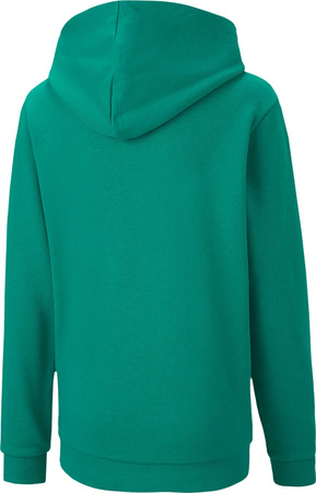 Bluza dla dzieci Puma teamGOAL 23 Casuals Hoody Jr zielona 656711 05