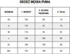 Koszulka męska Puma TeamGoal Jersey czarna 658636 03