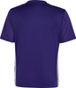 Koszulka dla dzieci adidas Tabela 23 Jersey fioletowa IB4935