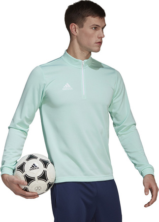 Bluza męska adidas Entrada 22 Training Top miętowa HC5050
