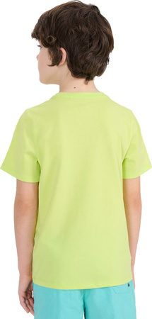 Koszulka dla chłopca 4F M1917 soczysta zieleń 4FJWSS25TTSHM1917 45S