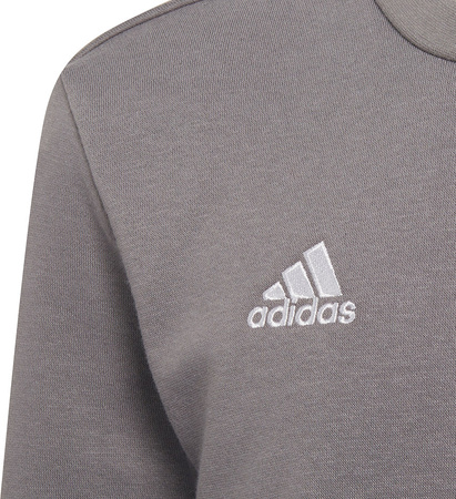 Bluza dla dzieci adidas Entrada 22 Sweat Top szara H57477