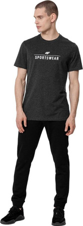 Koszulka męska 4F szara H4L22 TSM354 23M