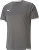 Koszulka męska Puma teamLIGA Jersey szara 704917 13