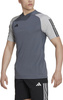 Koszulka męska adidas Tiro 23 Competition Jersey szara HP1906