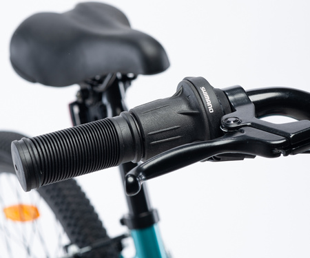 Dziecięcy rower Radvik Viking 20 rozmiar koła 20"