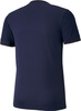 Koszulka męska Puma teamGOAL 23 Jersey granatowa 704171 06