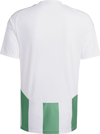 Koszulka męska adidas Striped 24 Jersey biało-zielona IW2148