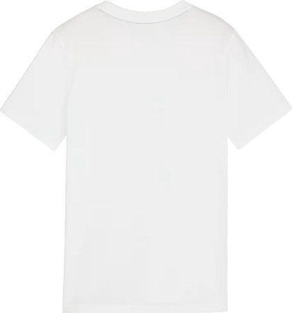 Koszulka dla dzieci Puma Team Goal Casuals Tee biała 658616 04