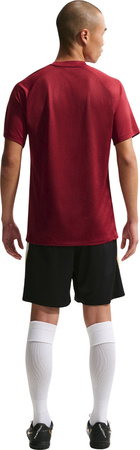 Koszulka męska Nike Dri-Fit Park VIII bordowa HV8173 677