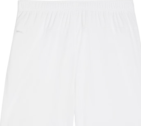 Spodenki męskie Puma Team Goal białe 705752 04