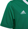 Koszulka dla dzieci adidas Entrada 22 Jersey zielona HI2126