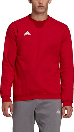 Bluza męska adidas Entrada 22 Sweat Top czerwona HB0577