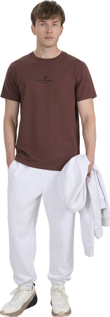 Spodnie męskie 4F CAS M1140 szare 4FWMM00TTROM1140 27M