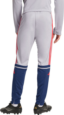 Spodnie męskie adidas Squadra 25 Training szare JP3372