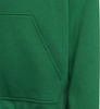 Bluza dla dzieci adidas Entrada 22 Hoody zielona HI2143