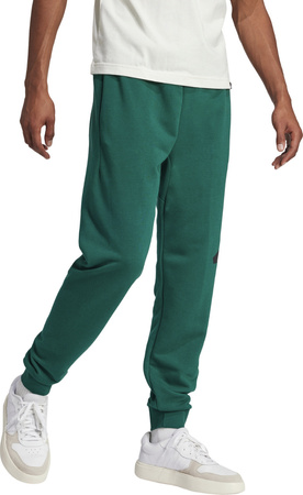 Spodnie męskie adidas Essentials Big Logo French Terry zielone JE8971