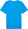 Koszulka męska Puma teamRISE Matchday Jersey niebieska 706132 02