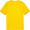 Koszulka męska Puma teamGoal Matchday Jersey żółta 705747 07
