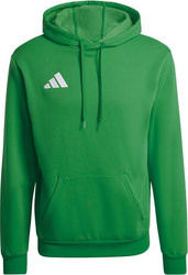 Bluza męska adidas Entrada 26 Hoody zielona JZ6581