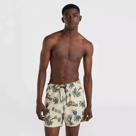 Męskie szorty O'neill MIX