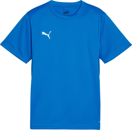 Koszulka dla dzieci Puma TeamGoal Jersey niebieska 658637 02