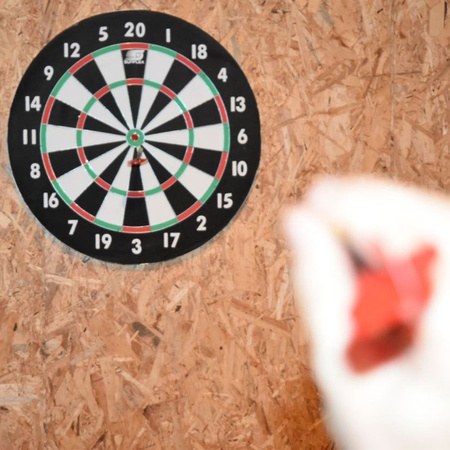 Tarcza do darta gry w rzutki Sunflex Deluxe 46 cm 45018