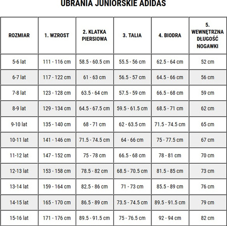 Dres dla dzieci adidas Essentials Joggers niebieski JE1381