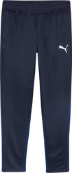 Spodnie męskie Puma Team Goal Training granatowe 658639 06