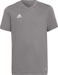 Koszulka dla dzieci adidas Entrada 22 Tee szara HC0444