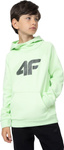 Bluza dla chłopca 4F zielona 4FJSS23TSWSM220 42S