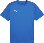 Koszulka męska Puma TeamGoal Jersey niebieska 658636 02