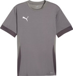 Koszulka męska Puma teamGoal Matchday Jersey szara 705747 13