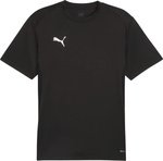 Koszulka męska Puma TeamGoal Jersey czarna 658636 03