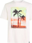 Męska koszulka z krótkim rękawem O'neill JACK O'NEILL NEON T-SHIRT snow white rozmiar M