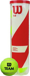 Piłki do tenisa ziemnego Wilson Team Practice 4 sztuki WRT111900