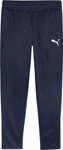 Spodnie męskie Puma Team Goal Training granatowe 658639 06
