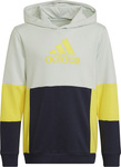 Bluza dla dzieci adidas Colourblock Hoodie szaro-żółto-czarna HN8567