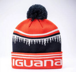 Czapka zimowa z pomponem Iguana Other rozmiar uniwersalny