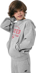 Bluza dla chłopca 4F szara HJZ22 JBLM006 27M