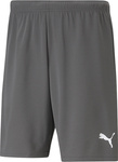 Spodenki męskie Puma teamRISE Short szare 704942 13
