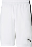 Spodenki męskie Puma teamLIGA białe 704924 04