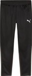 Spodnie męskie Puma Team Goal Training czarne 658639 03