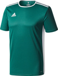 Koszulka dla dzieci adidas Entrada 18 Jersey JUNIOR zielona CE9563