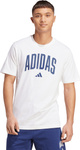Koszulka męska adidas Collegiate Lineage Graphic biała JM6416